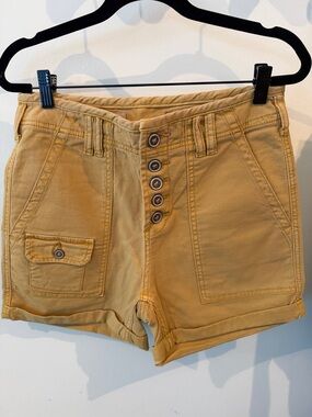 Anthropologie pilcro shorts